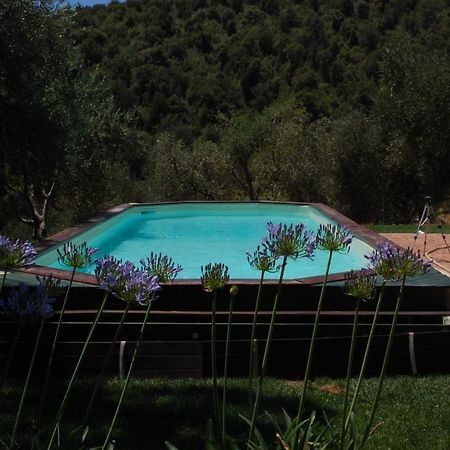Bed and Breakfast Il Pino Vetulonia Экстерьер фото