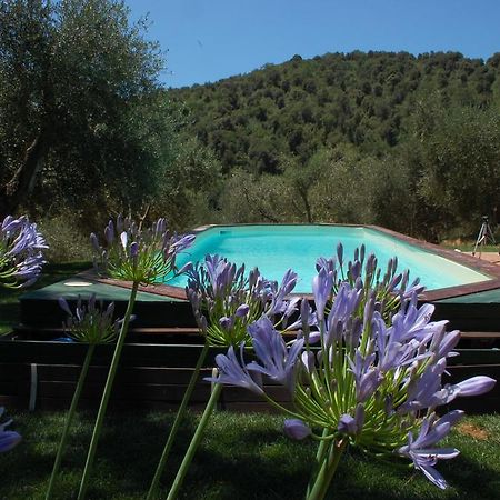 Bed and Breakfast Il Pino Vetulonia Экстерьер фото
