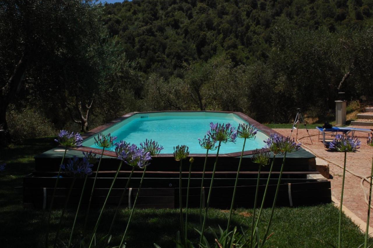 Bed and Breakfast Il Pino Vetulonia Экстерьер фото