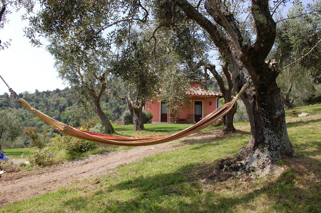 Bed and Breakfast Il Pino Vetulonia Экстерьер фото
