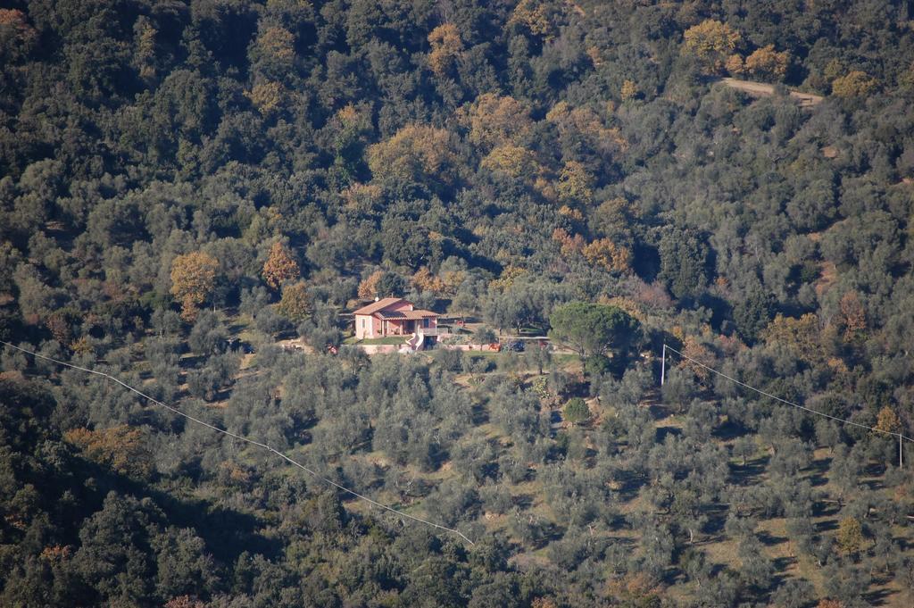 Bed and Breakfast Il Pino Vetulonia Экстерьер фото