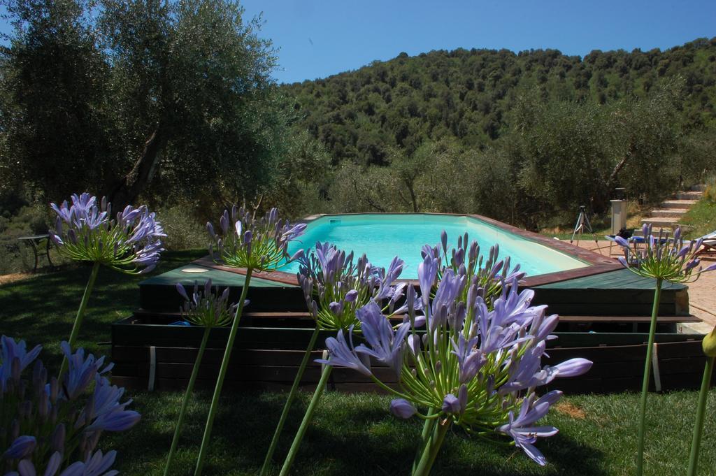 Bed and Breakfast Il Pino Vetulonia Экстерьер фото