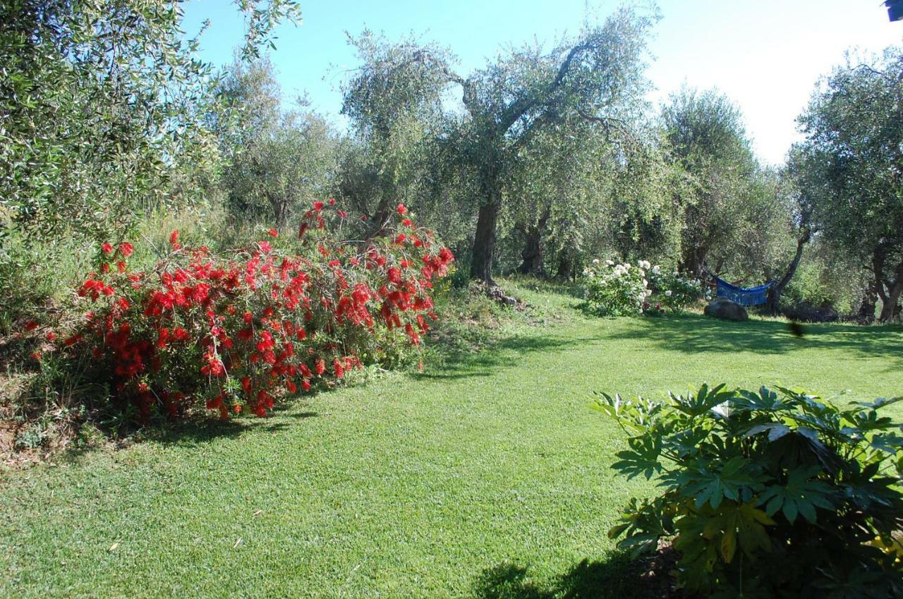 Bed and Breakfast Il Pino Vetulonia Экстерьер фото